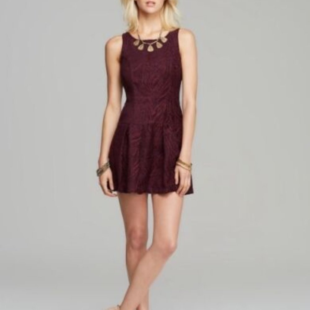 FREE PEOPLE Dress 10 ZEBRA Chenille Drop Waist Jacquard Full Zipper Pockets NWT